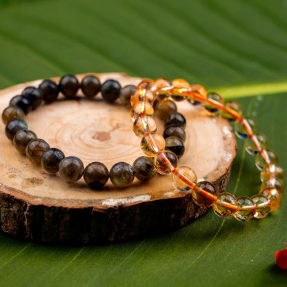 Luxury Magnet Combo by SAMAHealing - Sustainable Living
