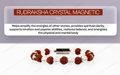 Original Rudraksha Crystal Magnetic Bracelet with Certificate by SAMAHealing - Sustainable Living (View 4)