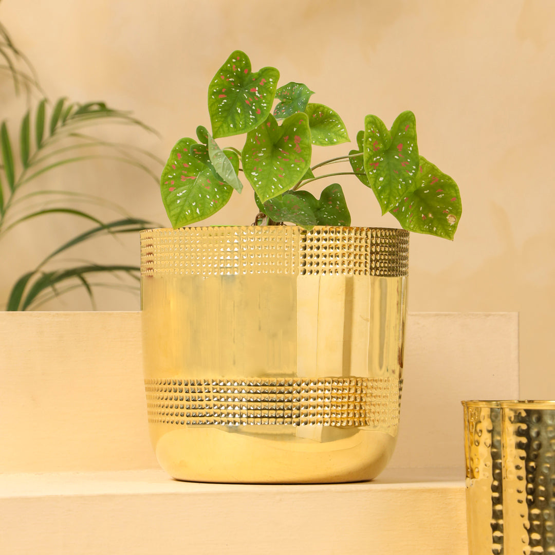 Brass Bucket Planter Pot – 9 Inch Handcrafted Indoor & Outdoor Plant Pot | Sama Homes – Image 5 - Eco-friendly - Sama Homes