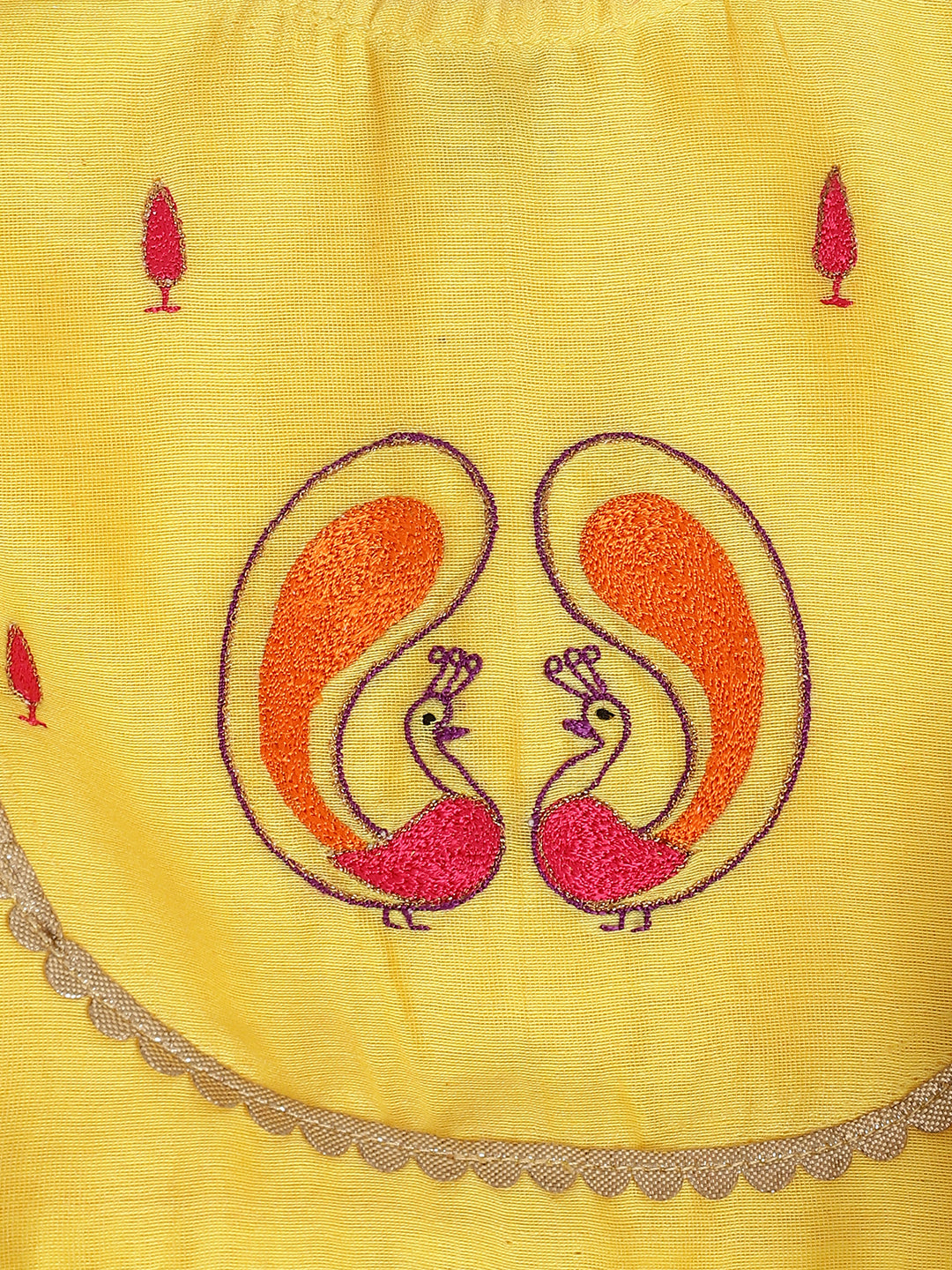 Peacock Embroidery Lehenga Set - Image 10