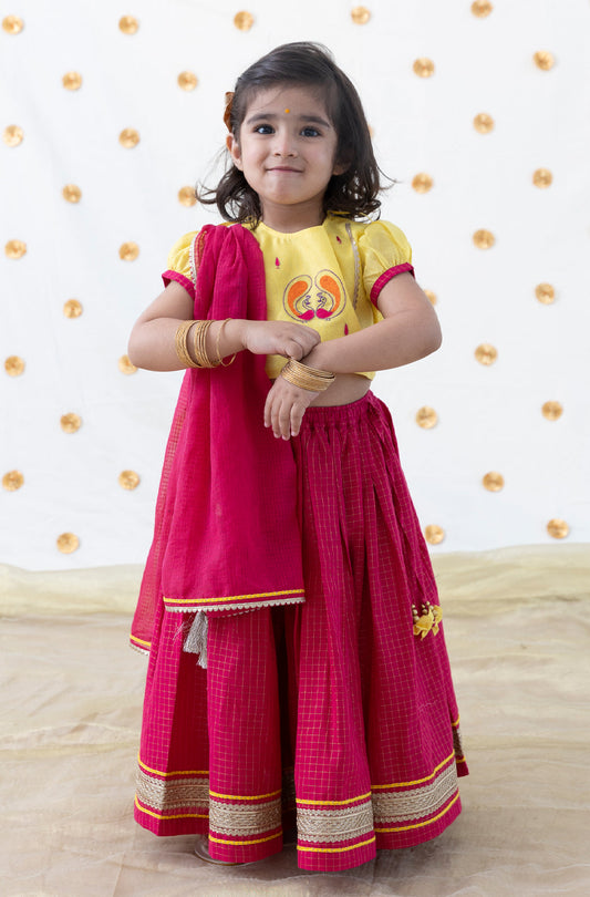 Peacock Embroidery Lehenga Set