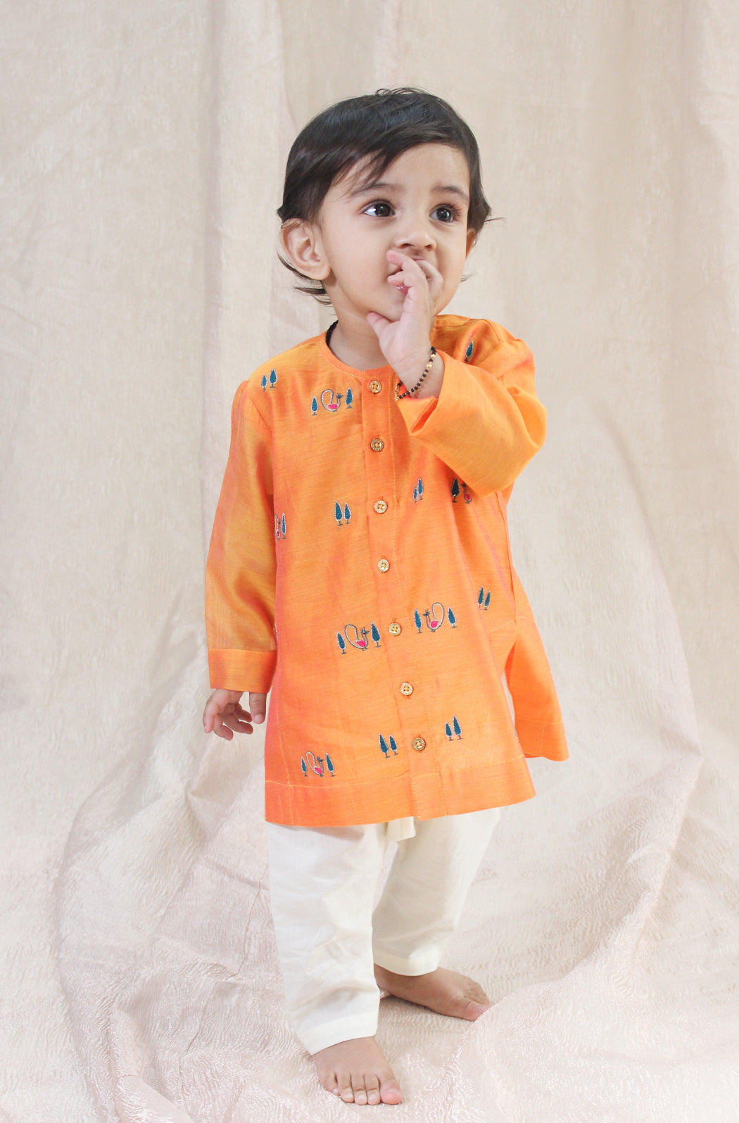 Mayur Regal Kurta Set - Image 3