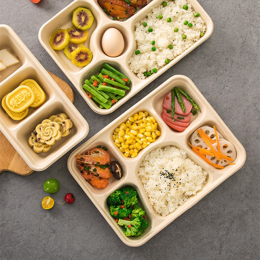 Disposable Four-compartment Lunch Box Lunch Box Environmentally Friendly Biodegradable Paper Pulp – Sama Homes