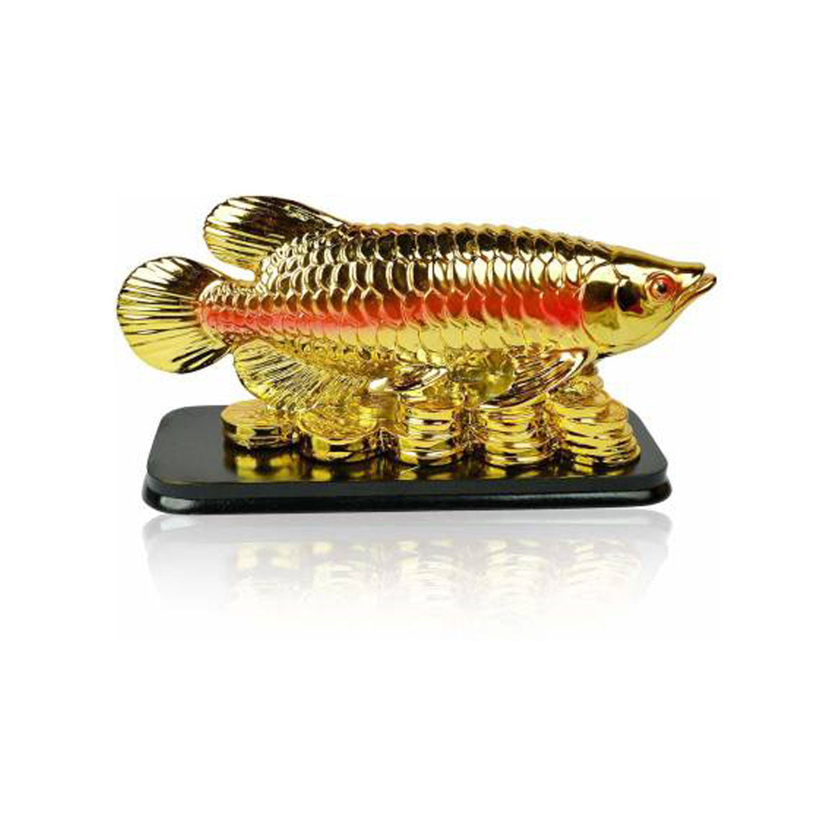 Feng Shui Fish with Coins for Career Luck and Education Luck
