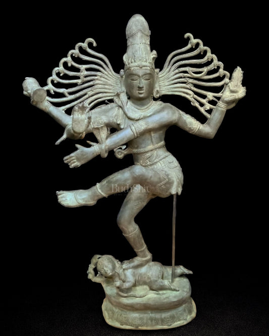 Brass Majestic Large Dancing Lord Shiva Sculpture | Natarajasan - 5 feet | 100% Certified Copper & Brass - Sama Homes Idol - Brass Sculpture