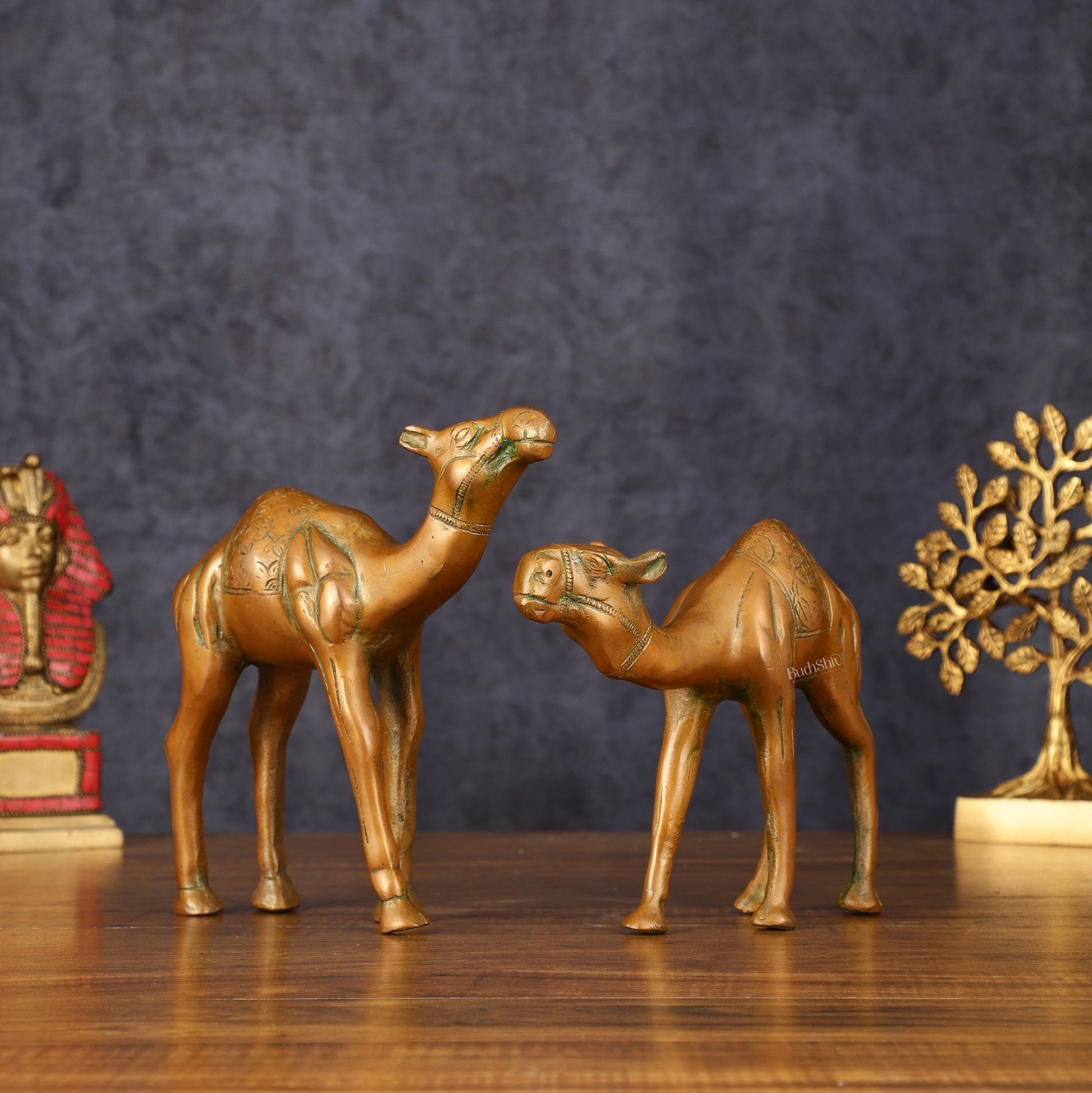 Brass Superfine Pair of Camel Vastu Recommended - 7" Tall - Sama Homes Idol - Brass Sculpture - Eco-friendly - Sama Homes
