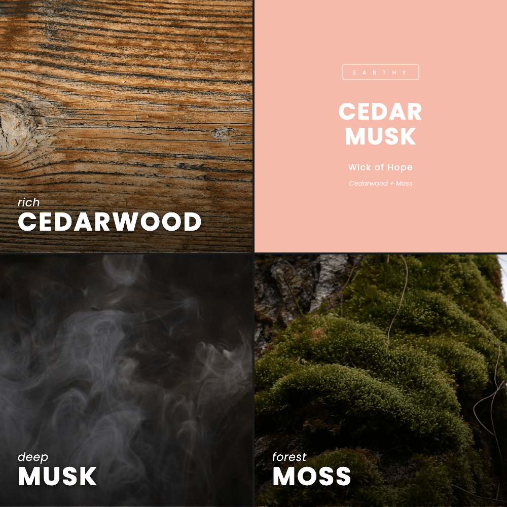 Cedar Musk Candle | Cedarwood + Moss - Image 7