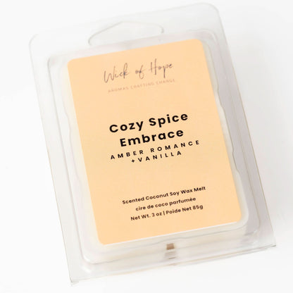Cozy Spice Embrace Wax Melt | Amber Romance + Vanilla by Wick of Hope - Wax Melt (View 2)