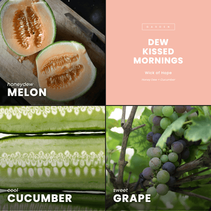 Dew Kissed Mornings | Honey Dew + Cucumber by Wick of Hope - Full Size Candle (View 7)