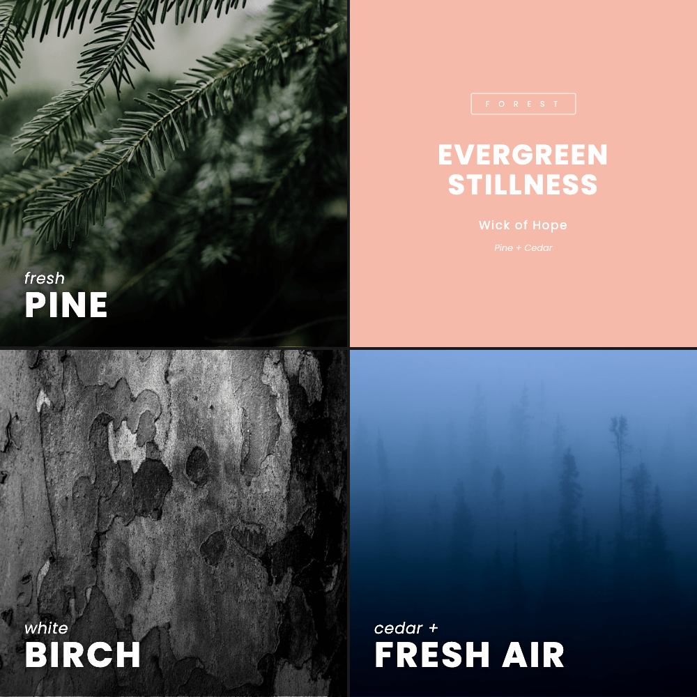 Evergreen Stillness Candle | Pine + Cedar - Image 7