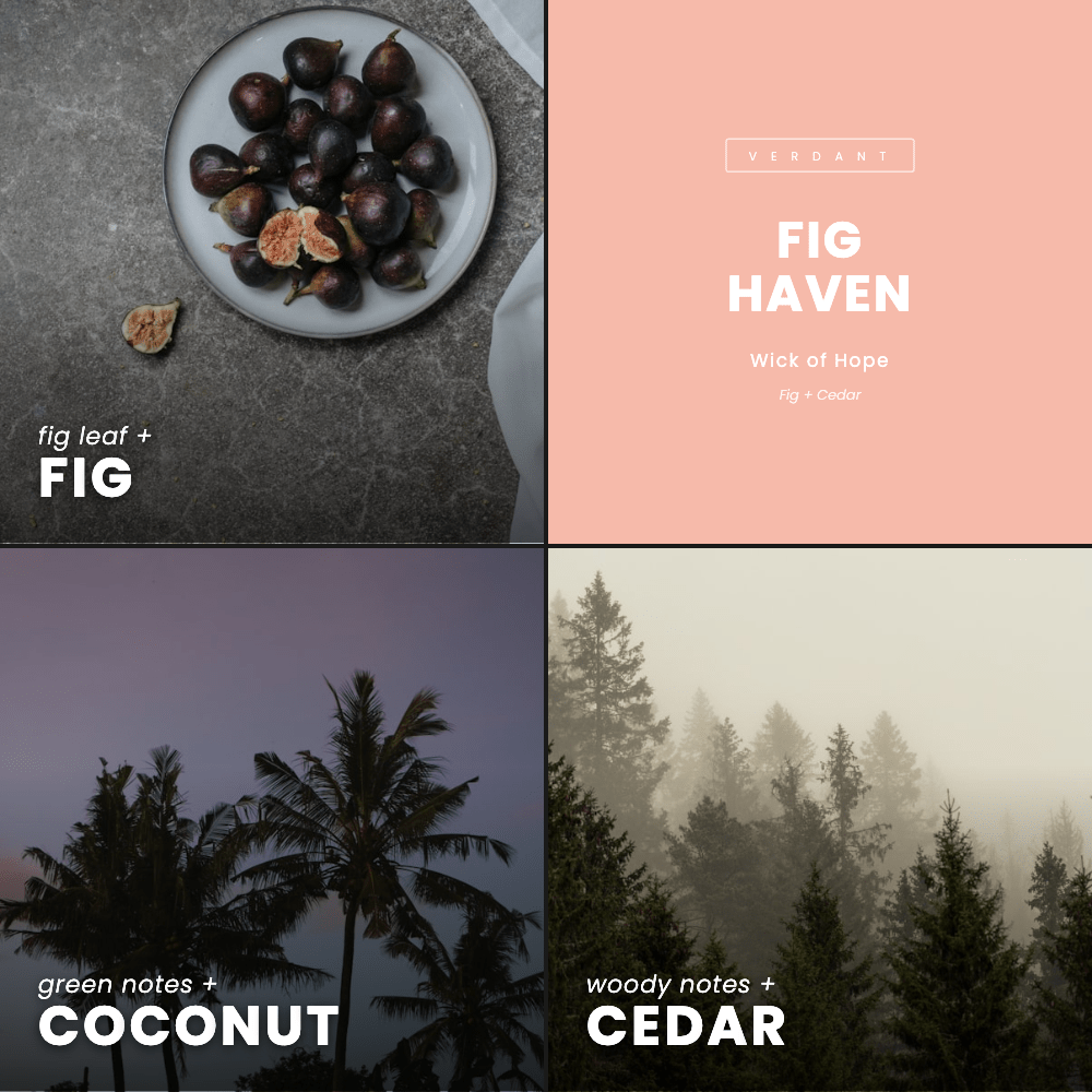 Fig Haven Candle | Fig + Cedar - Image 7