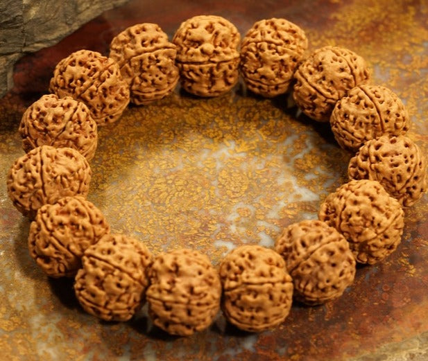 Five Face Rudraksha Adjustable Bracelet Very Large Rudraksha Beads - 20mm - Eco-friendly - Sama Homes