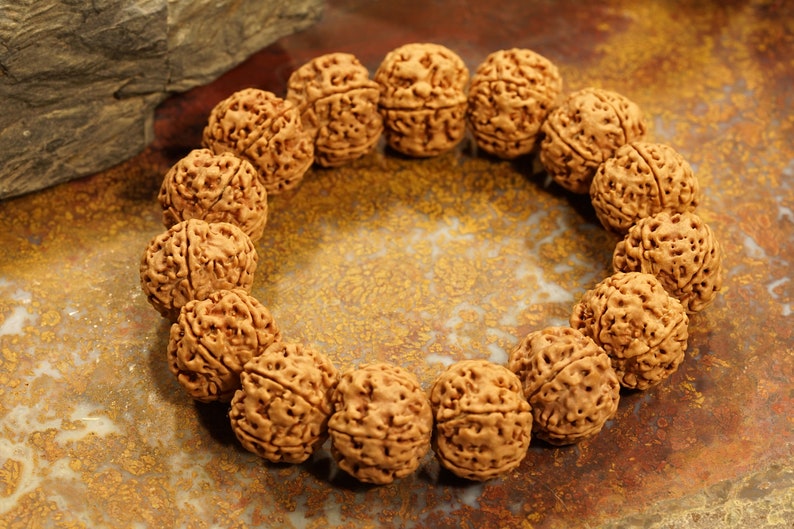 Five Face Rudraksha Adjustable Bracelet Very Large Rudraksha Beads - 20mm
