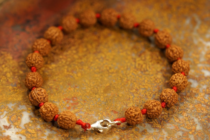 5 Mukhi Rudraksha Chikna Breads Bracelet in Red Thread