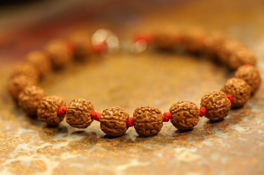 5 Mukhi Rudraksha Chikna Breads Bracelet in Red Thread