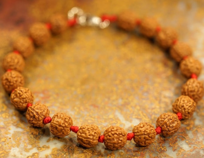 5 Mukhi Rudraksha Chikna Breads Bracelet in Red Thread
