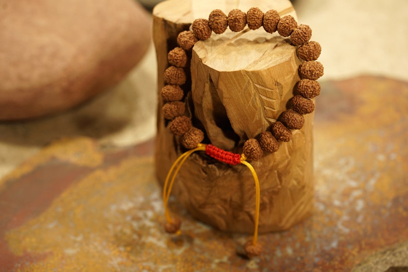 Adjustable Indonesian Rudraksha Bracelets | 2 Mukhi to 10 Mukhi