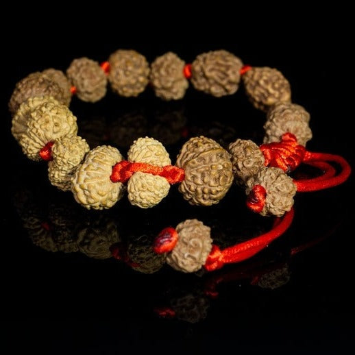 Indonesian Rudraksha Siddha Bracelet - 2 to 14 Face Rudraksha + Gauri Shankar & Ganesh