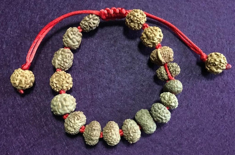 Indonesian Rudraksha Siddha Bracelet - 2 to 14 Face Rudraksha + Gauri Shankar & Ganesh