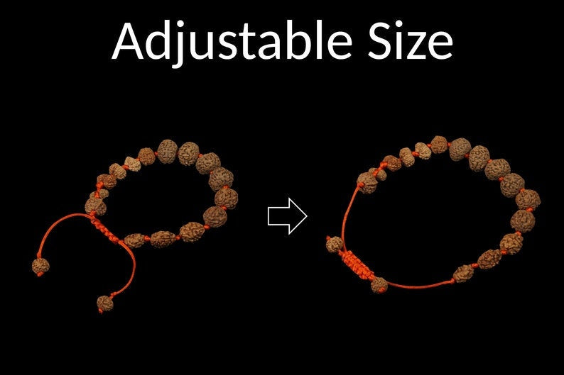 Indonesian Rudraksha Siddha Bracelet - 2 to 14 Face Rudraksha + Gauri Shankar & Ganesh
