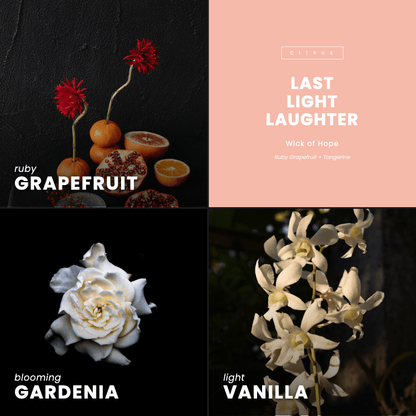 Last Light Laughter Candle | Ruby Grapefruit + Tangerine by Wick of Hope - Full Size Candle (View 7)