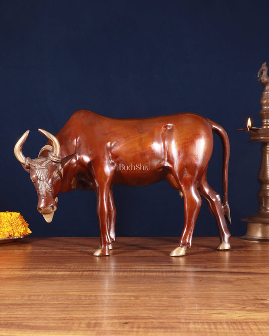Majestic Large Brass Cow Statue – Double Chola Tone