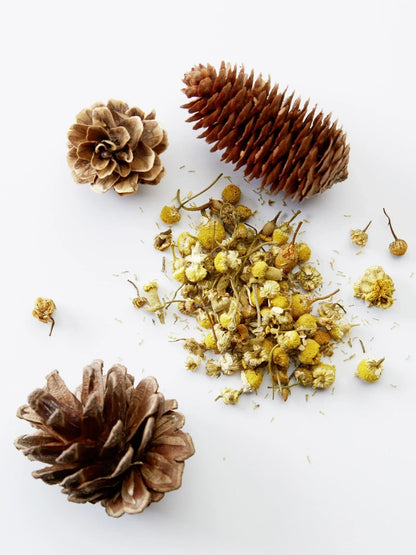 American Crew 3-IN-1 Chamomile + Pine 450ml by American Crew - Sustainable Living (View 2)