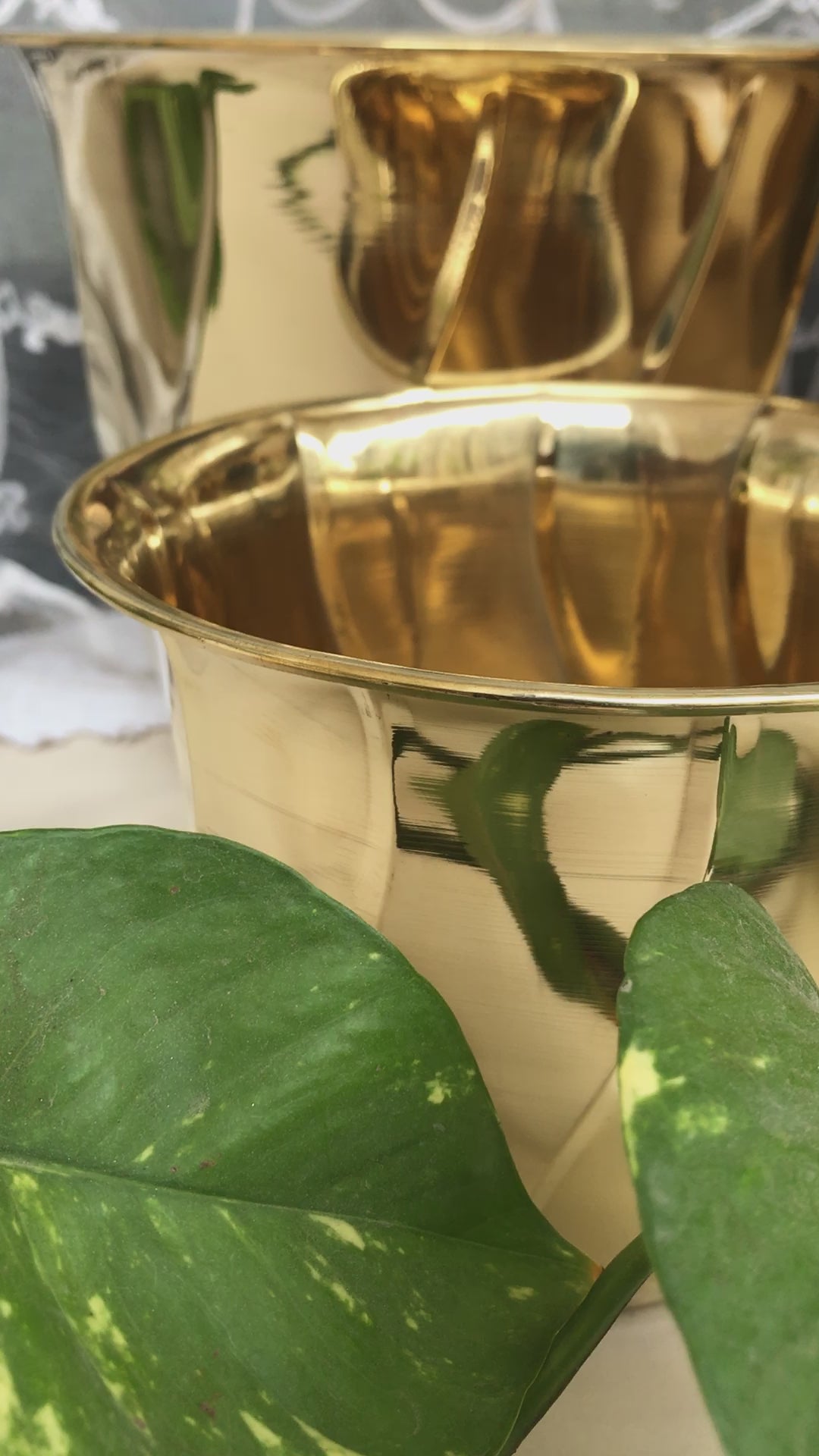 Brass Planter