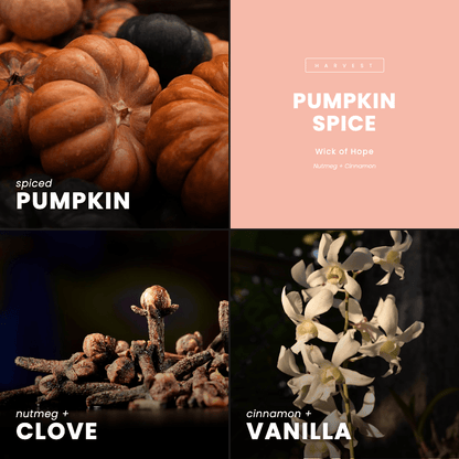 Pumpkin Spice Candle | Nutmeg + Cinnamon by Wick of Hope - Full Size Candle (View 7)