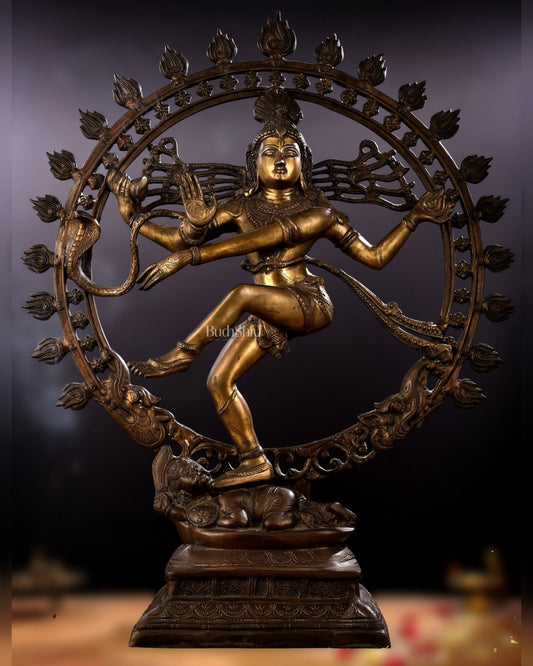 Pure Brass large sized Nataraja Statue - 33 inch - Sama Homes Idol - Brass Sculpture