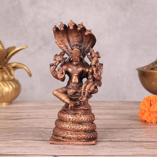 Pure Copper Varaha Lakshmi Idol Seated on Sheshnaag - 5.5 Inch - Sama Homes Idol - Brass Sculpture