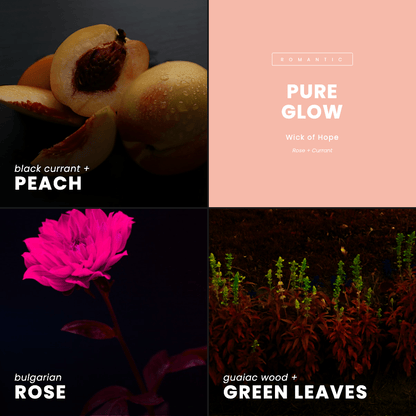 Pure Glow Candle | Rose + Currant by Wick of Hope - Full Size Candle (View 7)