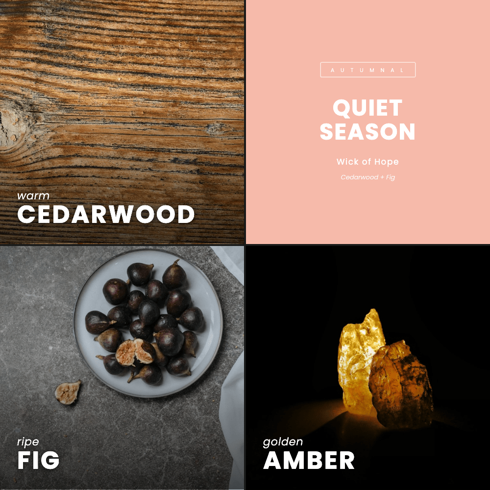 Quiet Season Candle | Cedarwood + Fig - Image 7