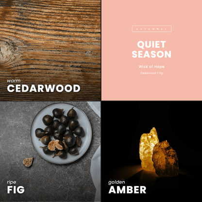 Quiet Season Candle | Cedarwood + Fig by Wick of Hope - Full Size Candle (View 7)
