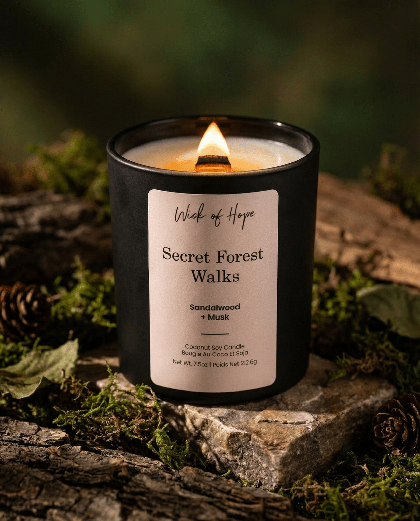 Secret Forest Walks Candle | Sandalwood + Musk - Image 2