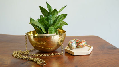 sama homes hanging planter pots price